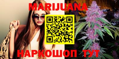 молекула духа Вышний Волочёк