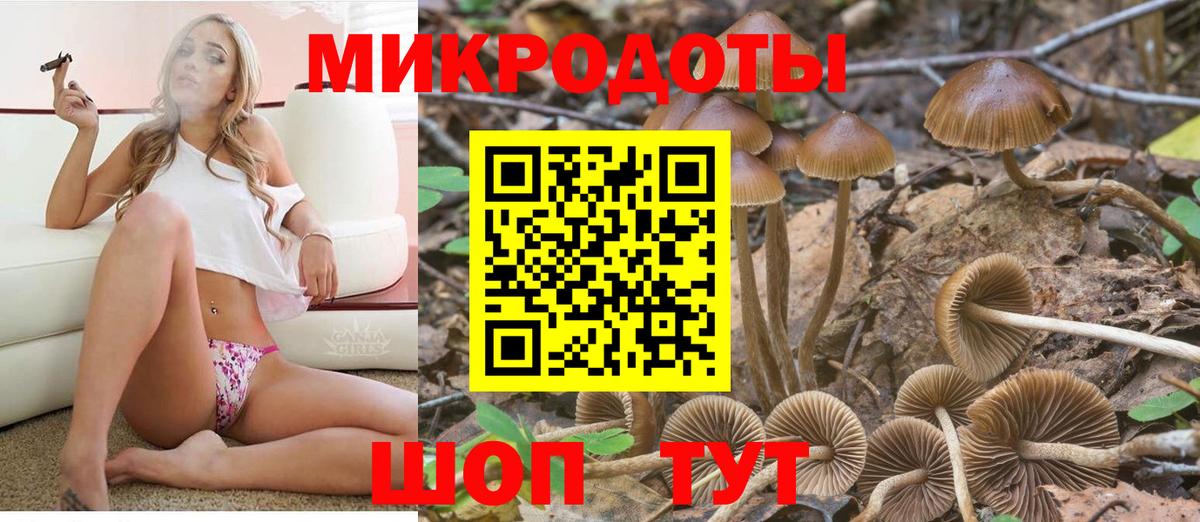 Галлюциногенные грибы GOLDEN TEACHER Богданович