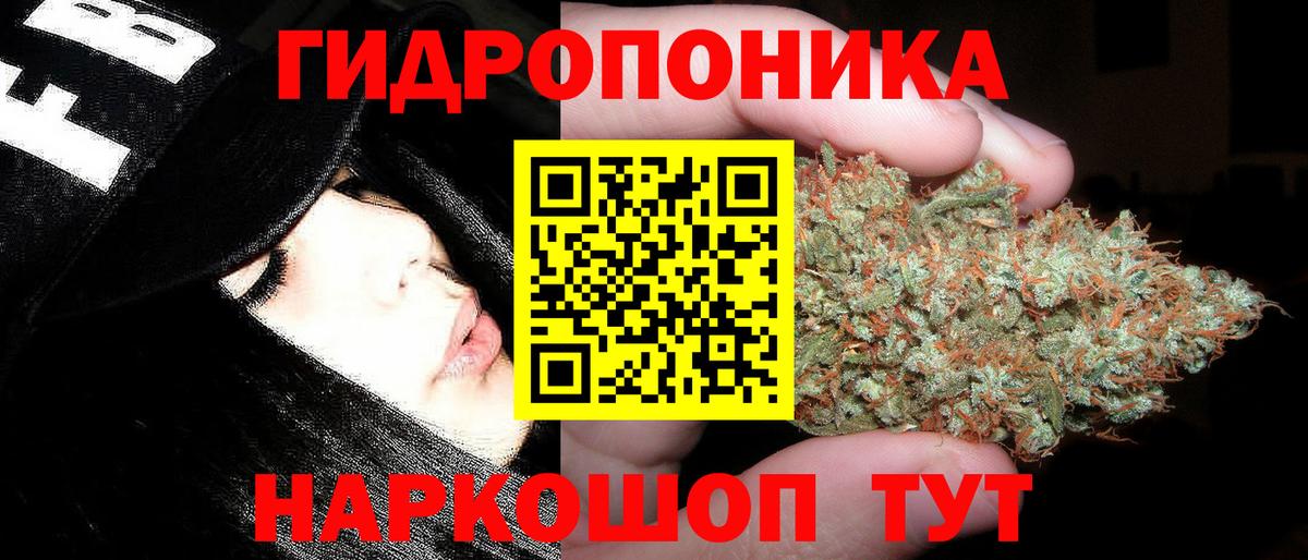 Канабис сатива  Конопля OG Kush  Богданович  Бошки Шишки White Widow  Вход с VPN 